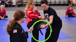 Image result for Skillz Martial Arts