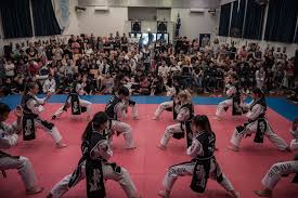 Image result for INTERNATIONAL HAPKIDO TAMWORTH