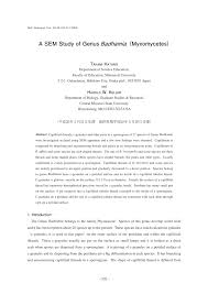 Attēlu rezultāti vaicājumam “Badhamia lilacina young”