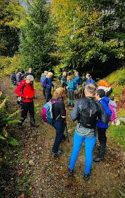 Image result for Mid Surrey Ramblers