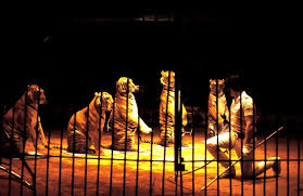 Image result for Blackpool Tiggers