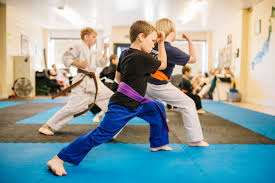 Image result for Soncho Karate Club