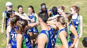 Image result for Wyvern Dragons Junior Badminton Club