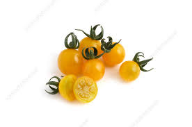 Afbeeldingsresultaat voor broad ripple yellow currant tomato