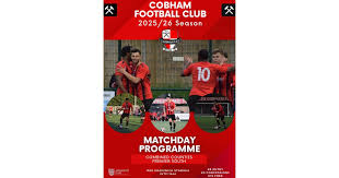 Image result for Cobham Sports Association Ltd