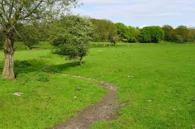 Image result for Gerrards Cross Cc