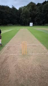 Image result for Appleton Cricket Club