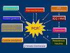 enfermedad <b>renal crónica</b>