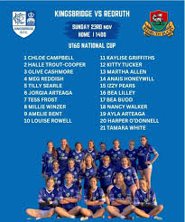 Image result for Kingsbridge Rugby Football Club