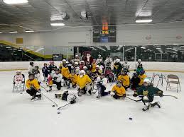 Image result for Hampstead Heath Hockey