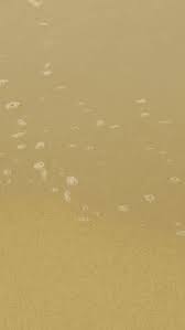 Image result for 1033128377