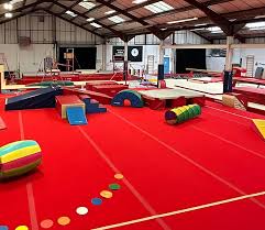 Image result for Swallows Trampoline Club