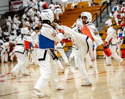 Image result for Newbury TAGB Tae Kwon-Do (Juniors)