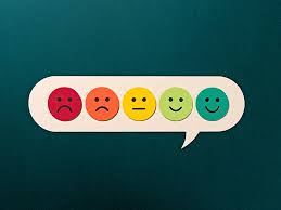 Image result for seotonie