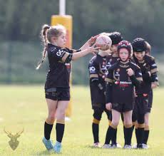 Image result for Hindley Rugby League Football Club