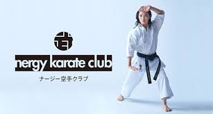 Image result for York University Karate Club