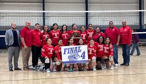 Image result for Aberlady Bays Volleyball Club