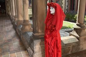 Image result for Reddish Rebels