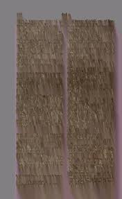 Attēlu rezultāti vaicājumam “Trichia longipalpis”