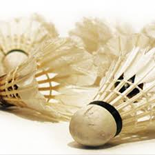 Image result for St Mary's Badminton Club - Peterborough