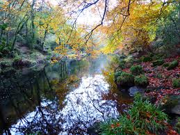 Image result for Chagford Bowling Club