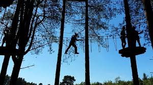 Image result for The Go Ape Experience (Delamere Forest)