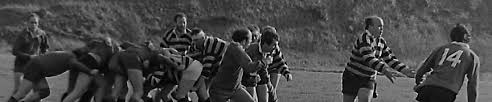 Image result for Cookstown Rugby Football Club