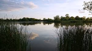 Image result for Slough