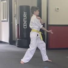 Image result for Horndean Zen Judo Club