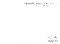 Attēlu rezultāti vaicājumam “Ommatoiulus vilnensis”