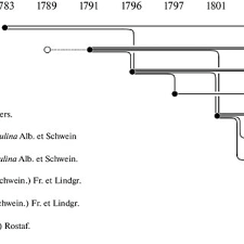 Attēlu rezultāti vaicājumam “Perichaena corticalis spores”