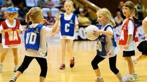 Image result for Blue Jays Netball Club