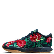 Image result for lebron james shoes