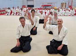 Image result for Aikido - Shobu UK