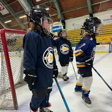 Image result for New Milton Hockey Club