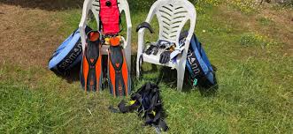 Image result for Kingston and Elmbridge Snorkellers