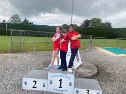 Image result for Harriers Netball Club