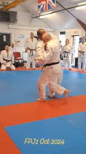 Image result for Didcot Judo and Karate Club