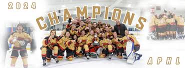 Image result for Vipers Roller Hockey Team