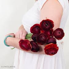 Attēlu rezultāti vaicājumam “Ranunculus mendax flower”