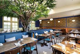 Image result for Old Fincunians Netball Club