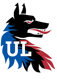 Image result for University Of Limerick Gaa Hurling Club