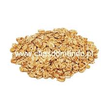 Attēlu rezultāti vaicājumam “Hordeum vulgare fruit”