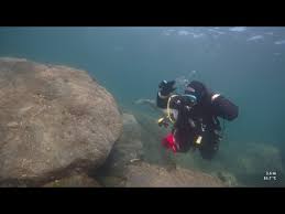 Image result for Calshot Sub-Aqua Club