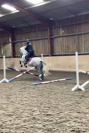 Image result for Huntingdon and District Riding Club