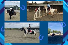 Image result for Liverpool Equestrian Club
