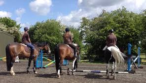 Image result for Weybridge Equestrian Centre