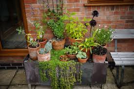 Image result for Bitteswell Cricket Club