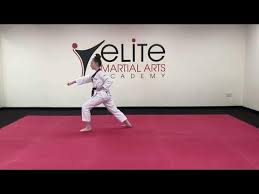 Image result for Elite Martial Arts Academy