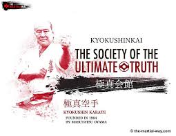 Image result for Wokingham Shotokai